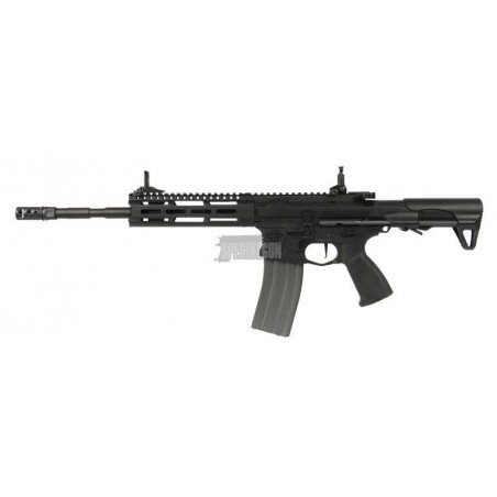 CM16 RAIDER-L 2.0 G&G NERO