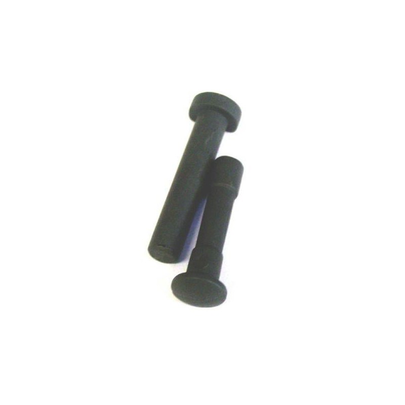 PAIR OF M4 BODY PINS AMOEBA