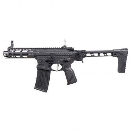 ARP 556 3.0 ETU FUCILE ELETTRICO G&G