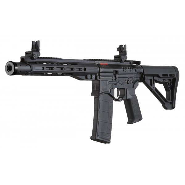 Zion Arms R15 Mk2 Gen4 10 pollici con Nebula II Nero