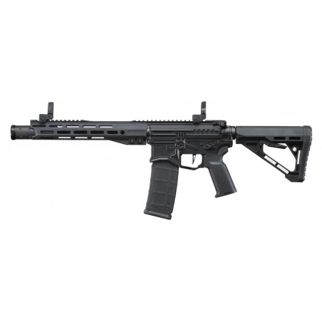 Zion Arms R15 Mk2 Gen4 10 pollici con Nebula II Nero